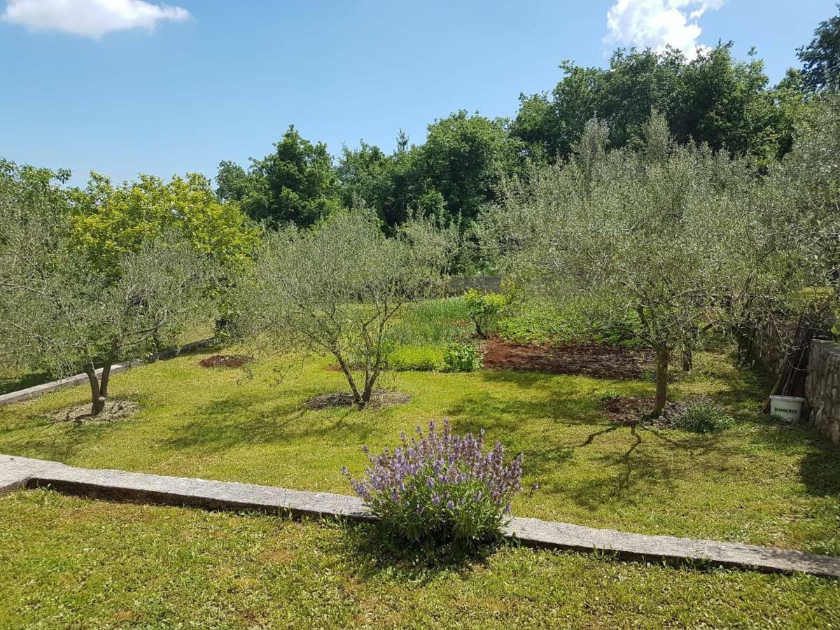 Apartmani Mariela Labin  Zewnętrze zdjęcie
